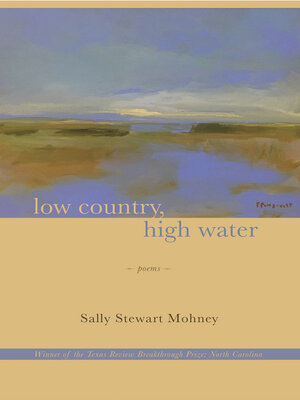 cover image of Low Country, High Water